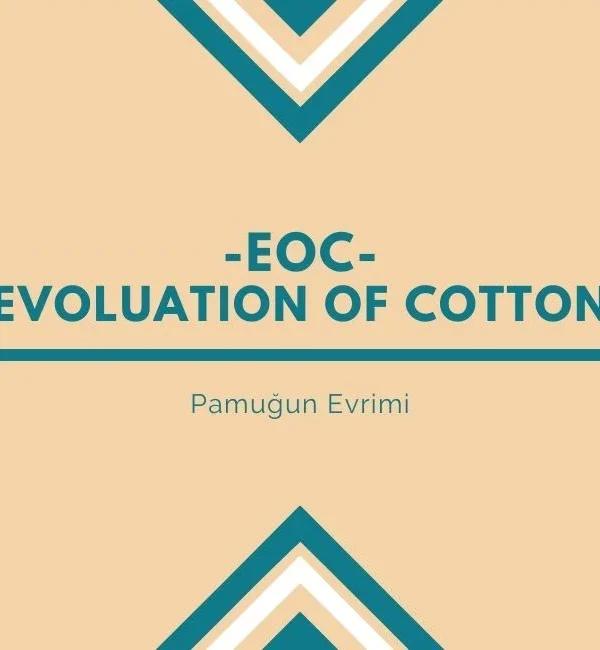 Pamuğun Daha İyi Bir Gelecek İçin Evrilmesinin Hikayesi 8 Pamuğun Daha İyi Bir Gelecek İçin Evrilmesinin Hikayesi